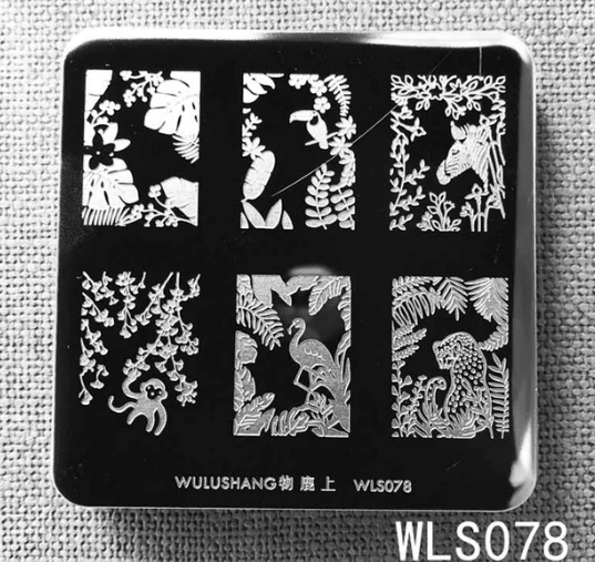 WLS-078